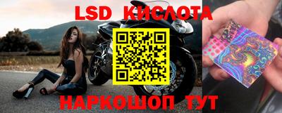 Альфа ПВП Краснодар